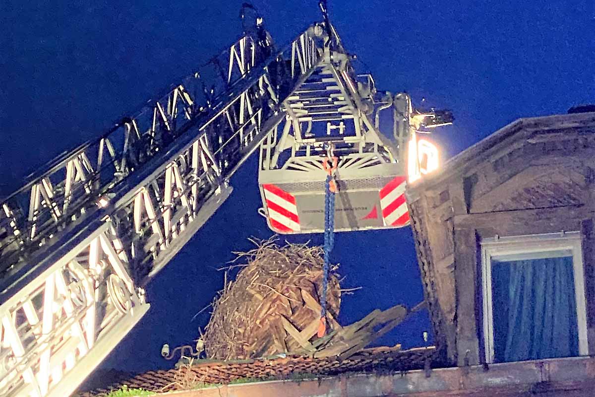 Offenburg - Storchennest vor Absturz bewahrt 