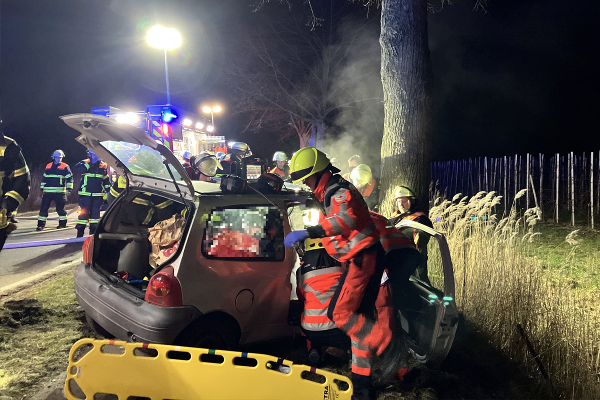 Mittelnkirchen – Fahrer prallt gegen Baum und wird schwer verletzt