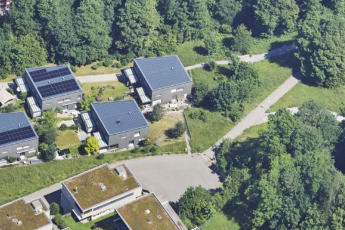 Unfall in St. Gallen – E-Bike-Fahrer kollidiert mit Katze