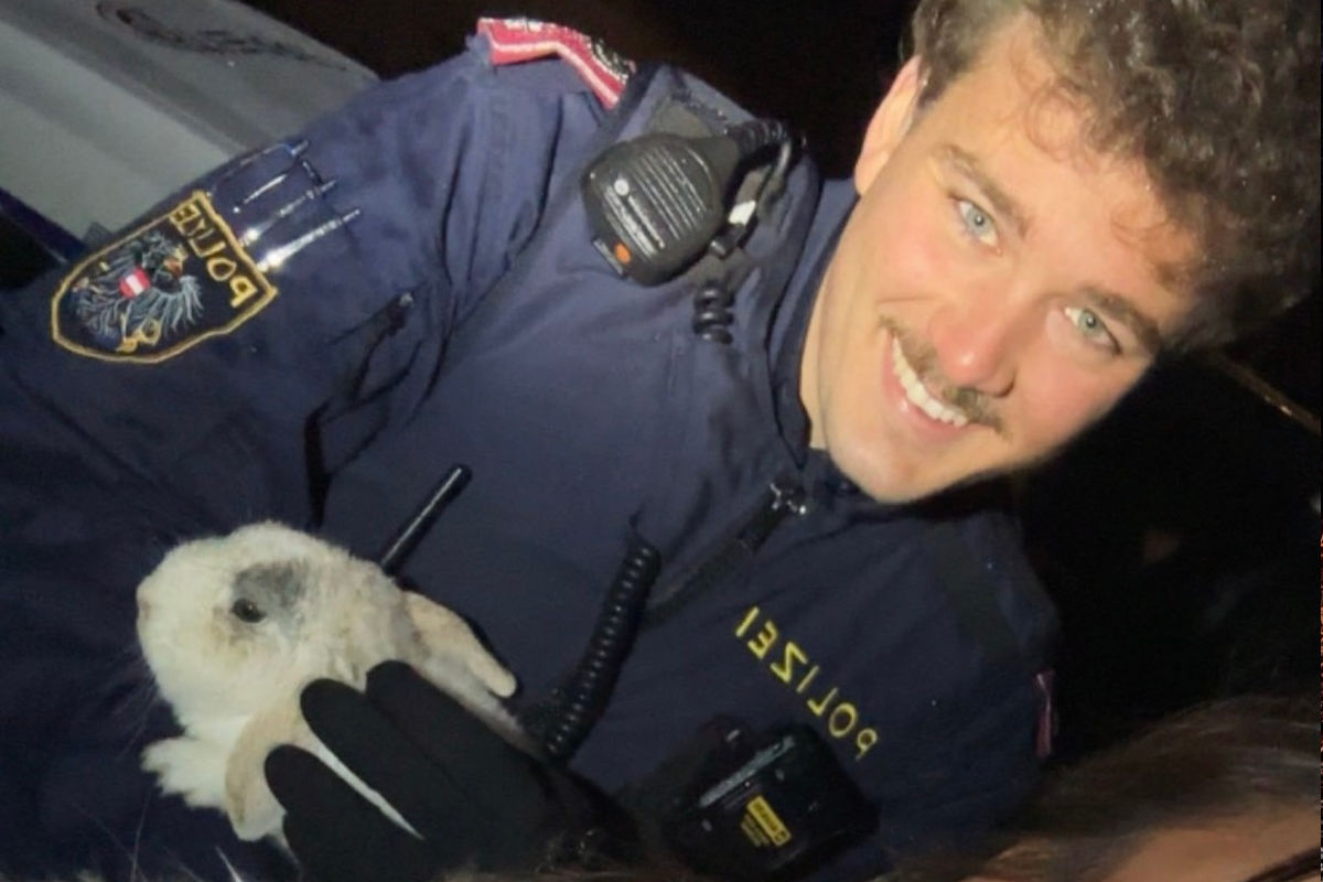 Eugendorf – Kaninchen bei Salzachseen eingefangen