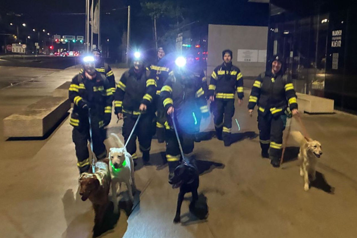 Traun – Vermisste Person nach Suche mit Hundestaffel gefunden