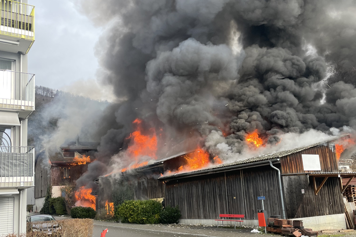 Pieterlen BE - Hund kommt bei Brand ums Leben