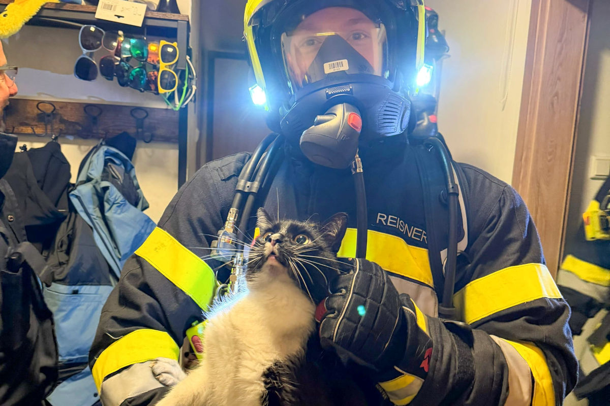 Leoben – Technischer Defekt löst Brand in Wohnung aus