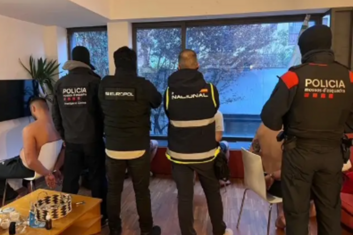 Internationaler Schlag gegen Waffen- und Drogenhandel