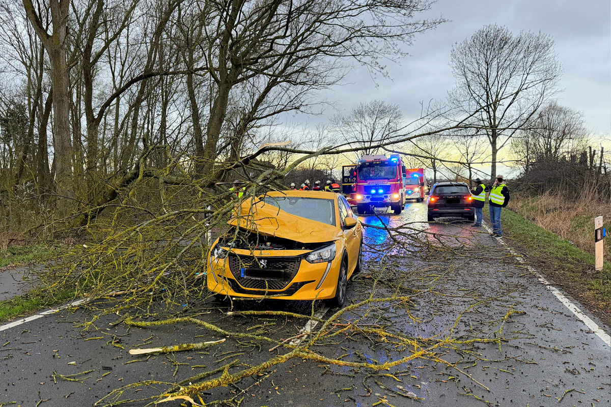 Jork – Baum stürzt auf Straße und beschädigt zwei Autos