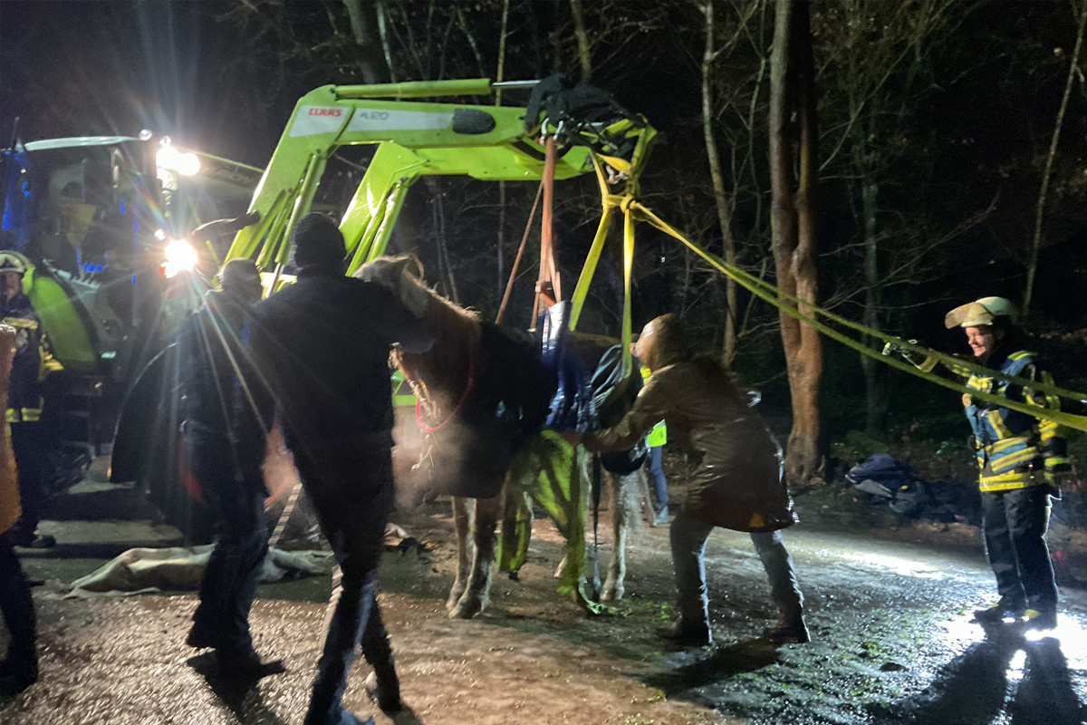 Bochum – Gestürztes Pferd auf vereistem Untergrund gerettet