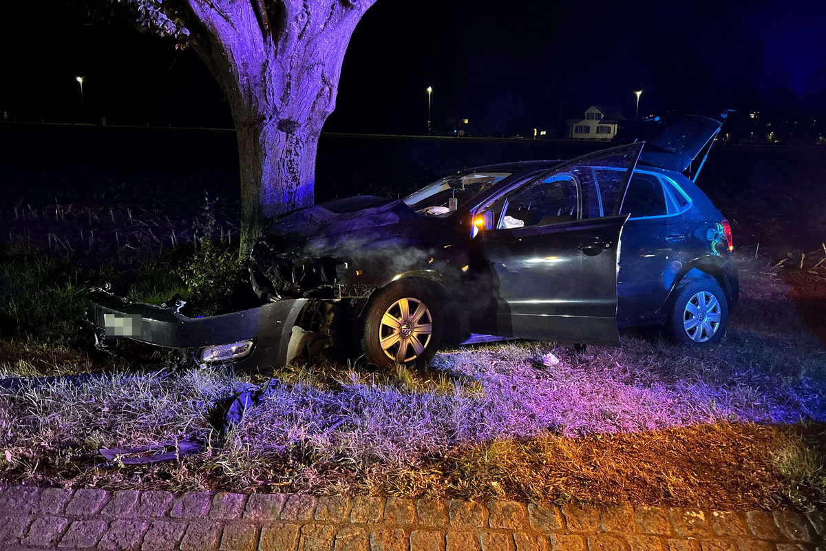 Remigen / Suhr AG - Zwei Kollisionen mit Bäumen 