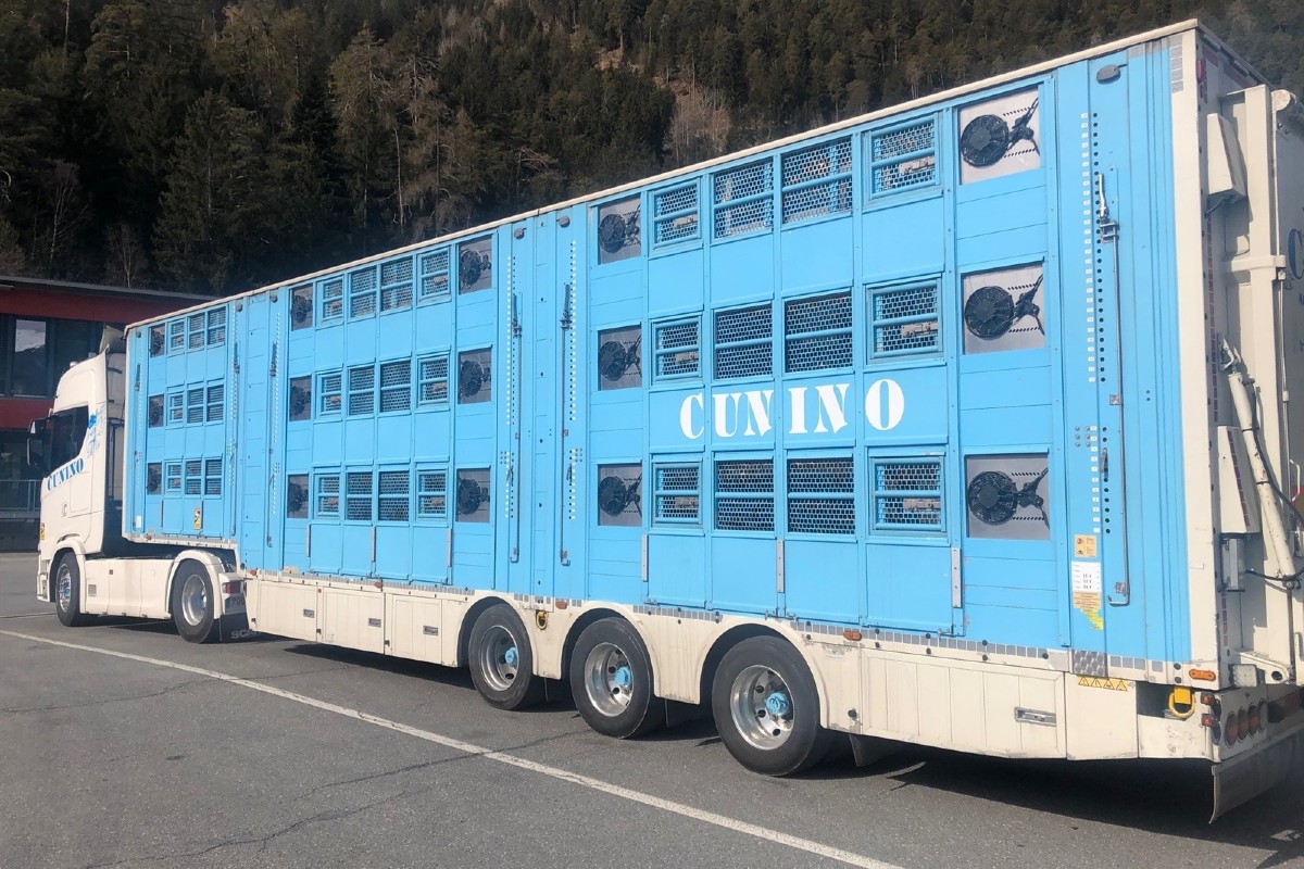 Cazis GR - Illegaler Tiertransport gestoppt