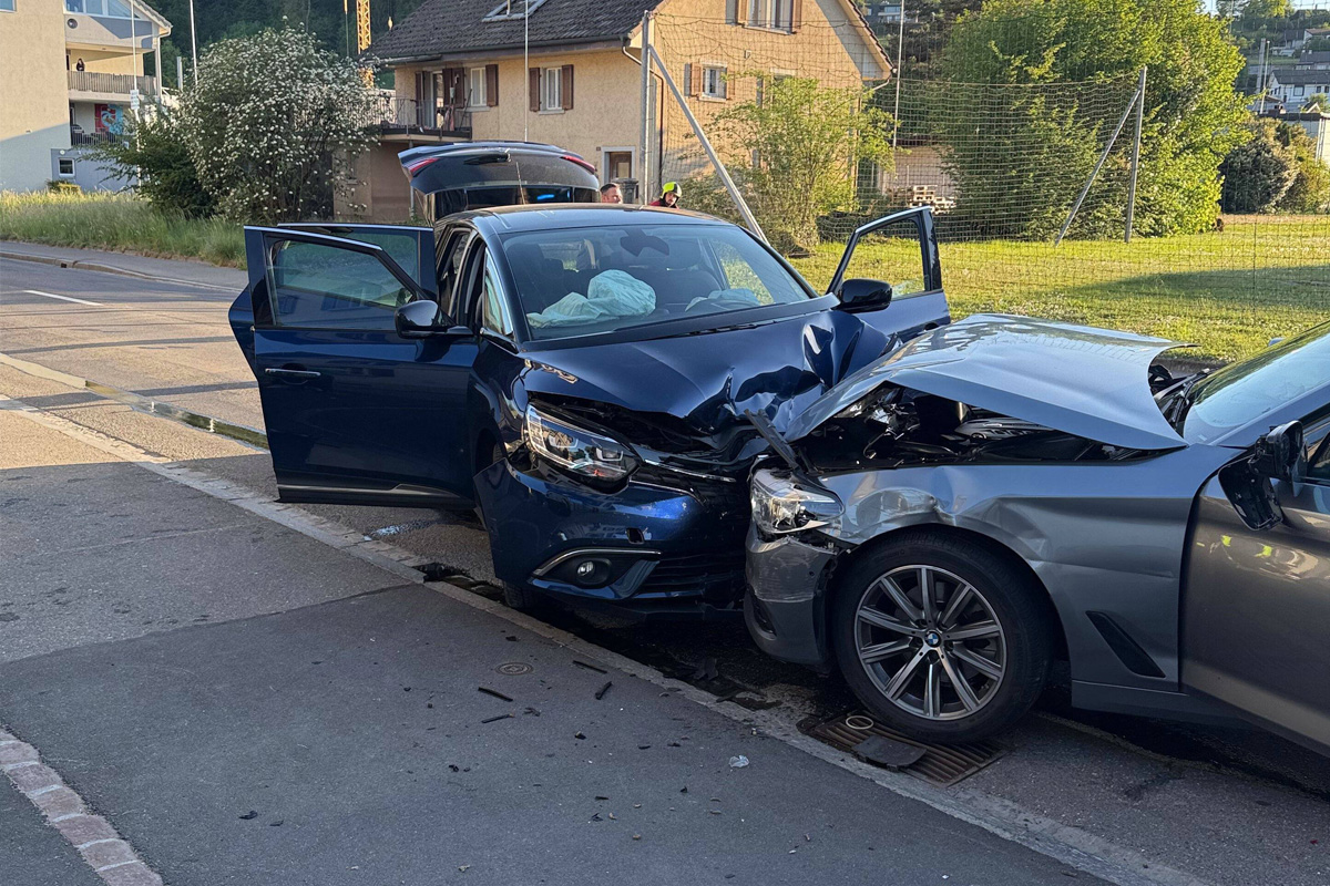 Seon AG – Frontaler Unfall durch Insekt im Auto