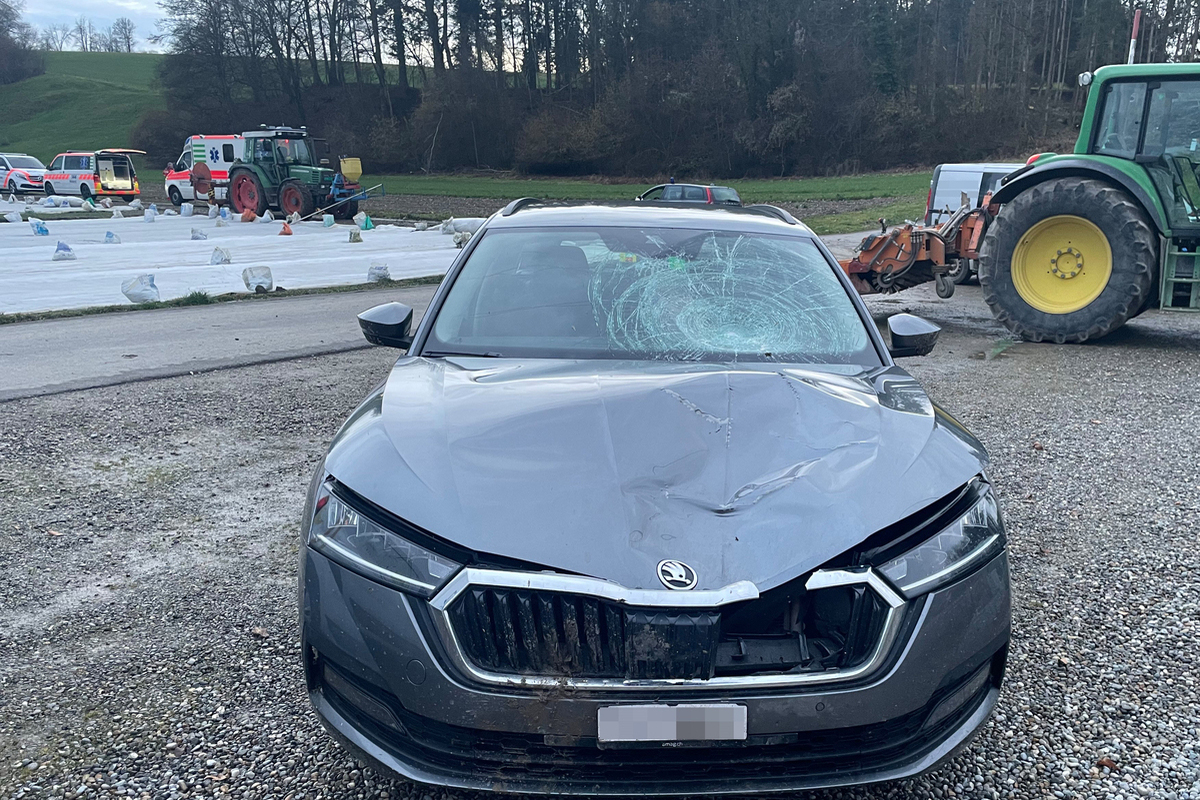  Matzingen TG - Mann tödlich von Auto erfasst