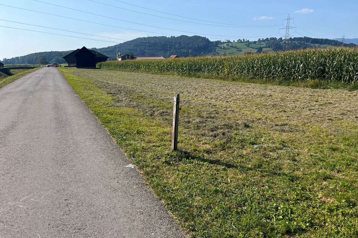 Schänis SG - E-Biker verstirbt nach Verkehrsunfall