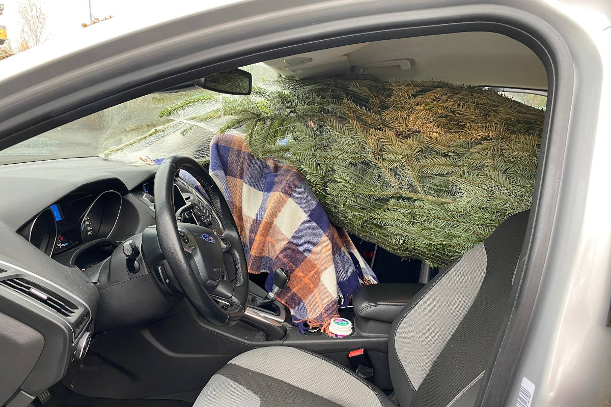 Cham ZG – Gefährlicher Transport eines Tannenbaums