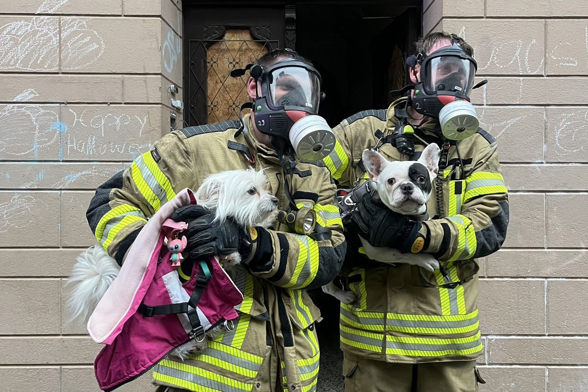 Bremerhaven – Mehrere Personen bei Kellerbrand verletzt