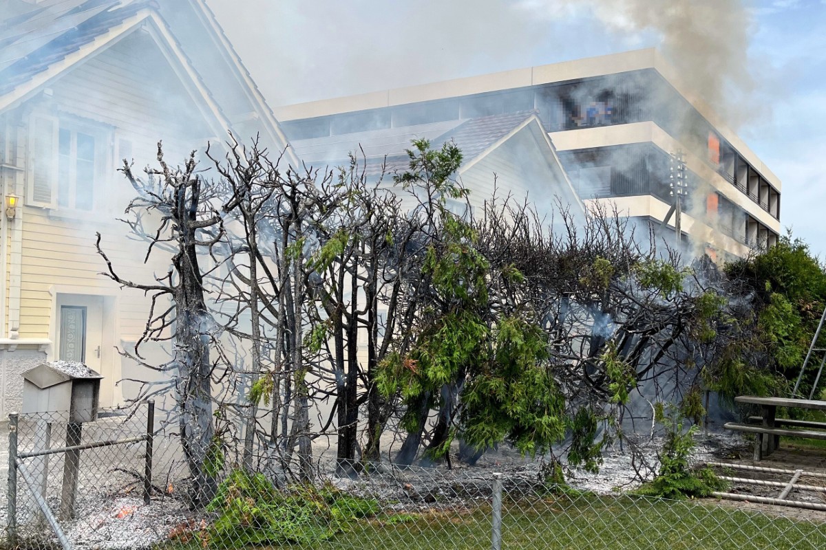 Widnau SG - 15 Meter Heckenbrand an der Fahrgasse