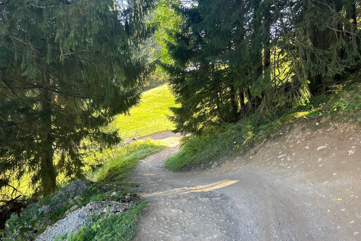 Kanton St. Gallen - Rega fliegt verunfallten Mountainbiker von Flumserberg ins Spital