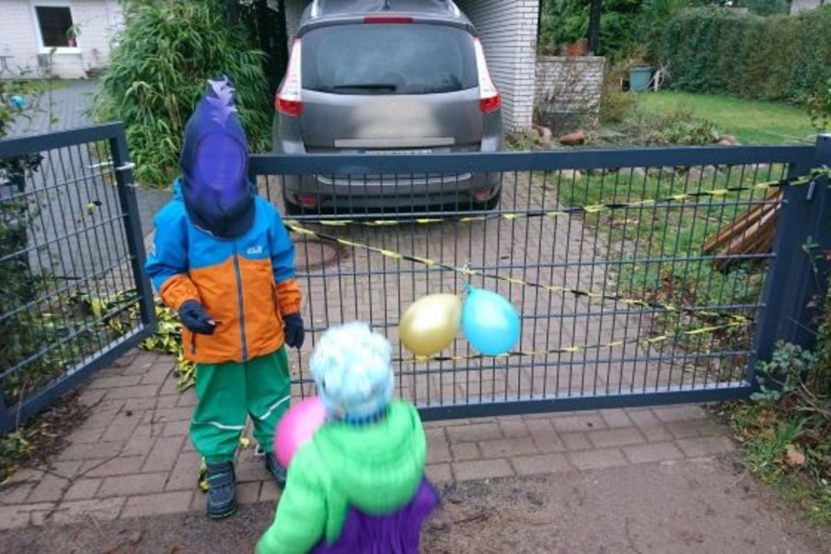 Eystrup - Unbekannte Täter entwenden Gartentor am helllichten Tage