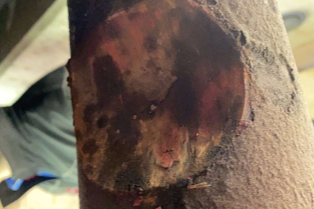 Stadt Schaffhausen - Anhängerzug mit gravierenden Mängeln 