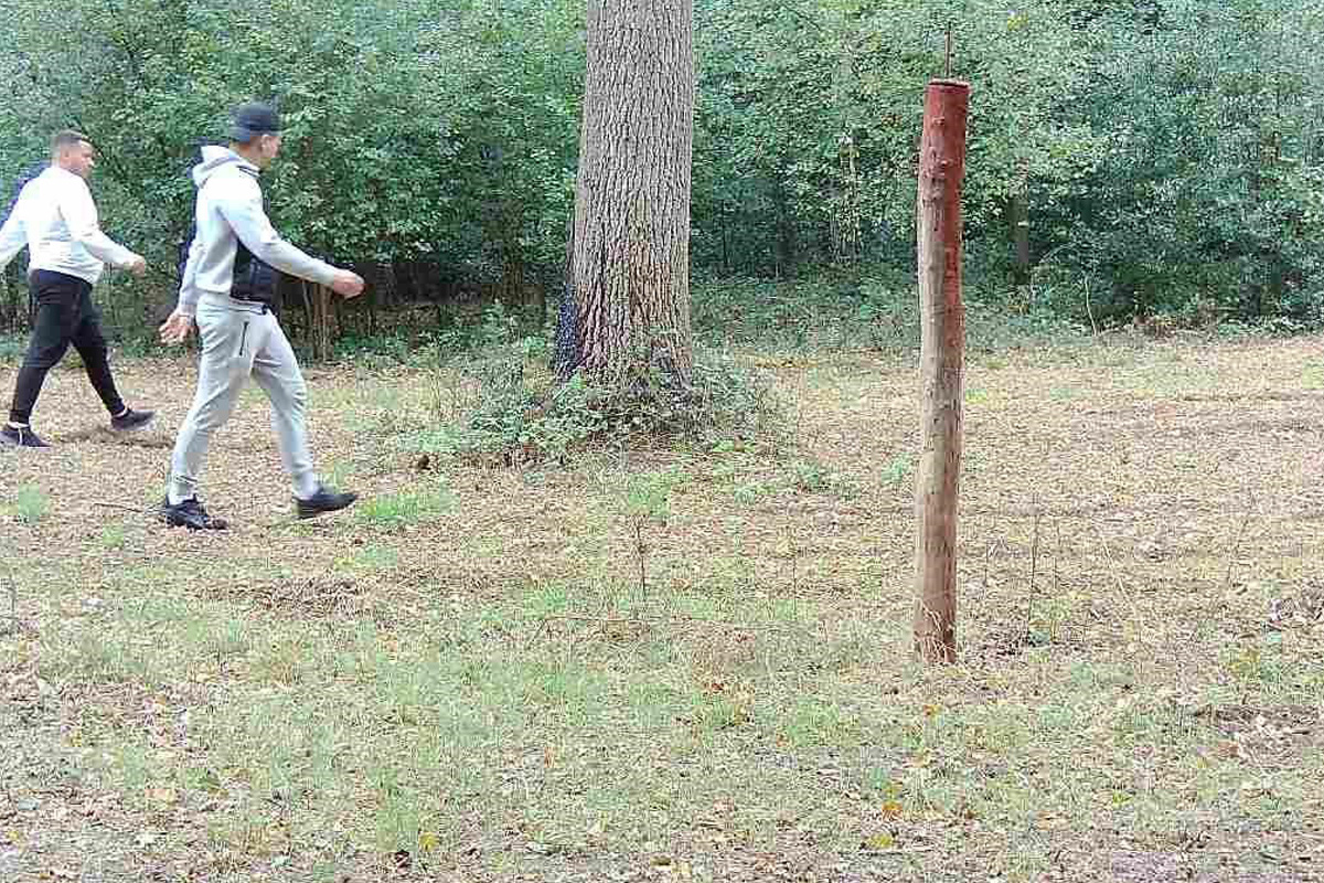 Löningen – Fahndung nach Raubüberfall auf Spaziergängerin