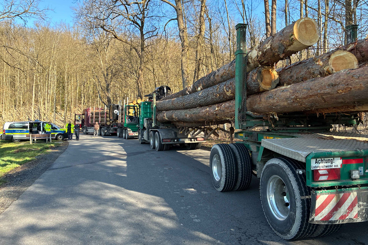 Münchhausen – Zahlreiche Verstöße bei Holztransportern