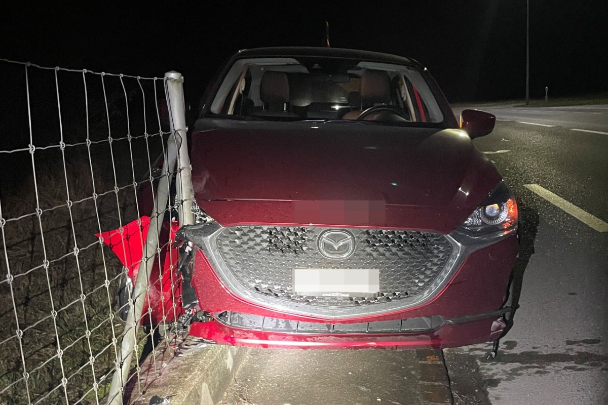 Riedt bei Erlen TG - Ausgewichen und verunfallt