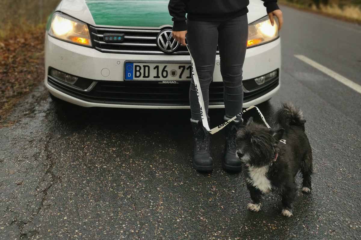 Tierrettung in Rosenheim - Gefährlicher Ausflug auf der A8!