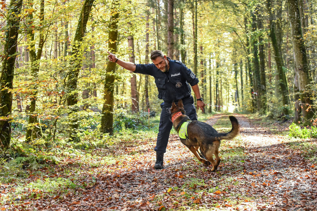 Stadt Zürich – Diensthund erschnüffelt Tatwaffe