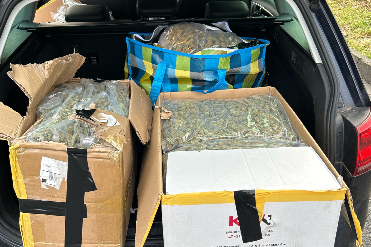 Hamm – Zoll stellt 31 Kilo Marihuana sicher