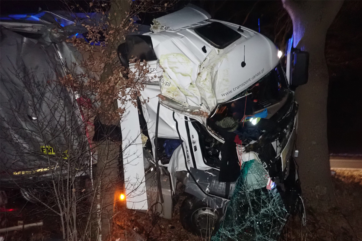 Elsdorf – Alkoholisierter Lkw-Fahrer prallt gegen Baum