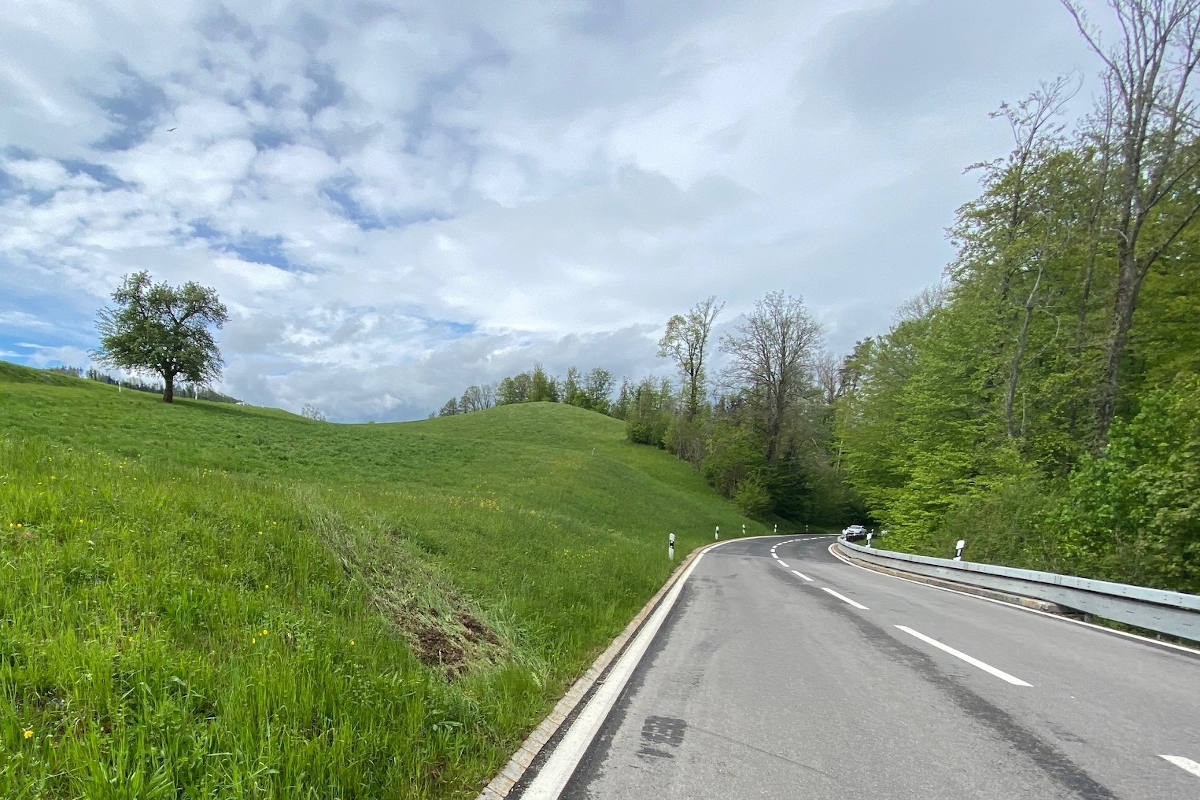 Langnau am Albis ZH – Unfallfahrer verursacht Flurschaden