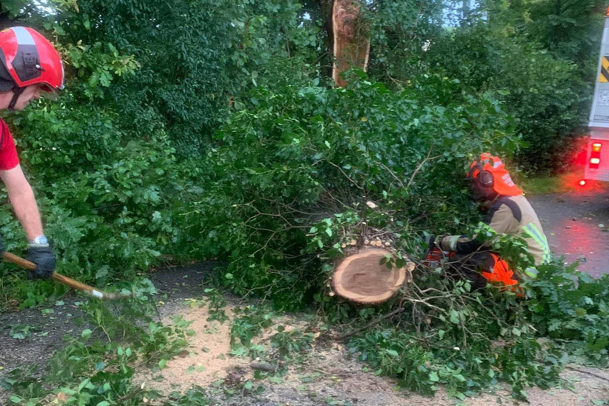 Unwetter in Rapperswil-Jona SG – Feuerwehr im Dauereinsatz