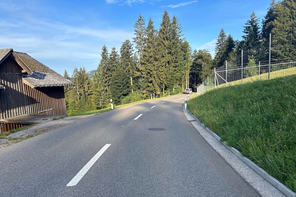 Wattwil SG - Motorradfahrer (17) mit Reh kollidiert