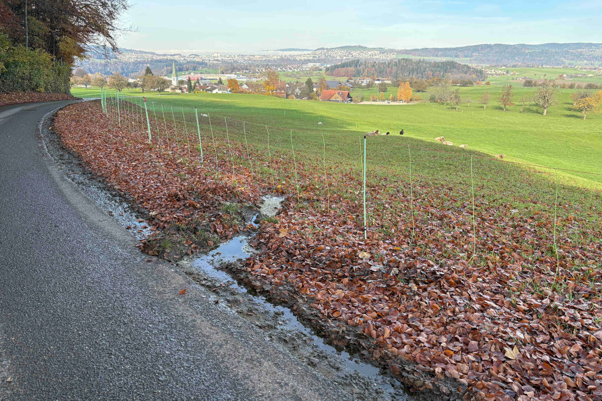 Jonschwil SG – Gülle läuft nach Leitungsdefekt in Bach