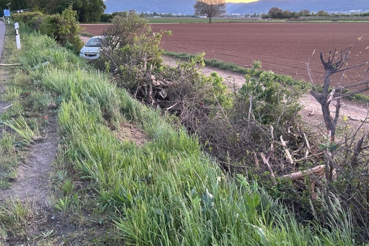 A65 Neustadt – Betrunkener Fahrer verursacht Unfall