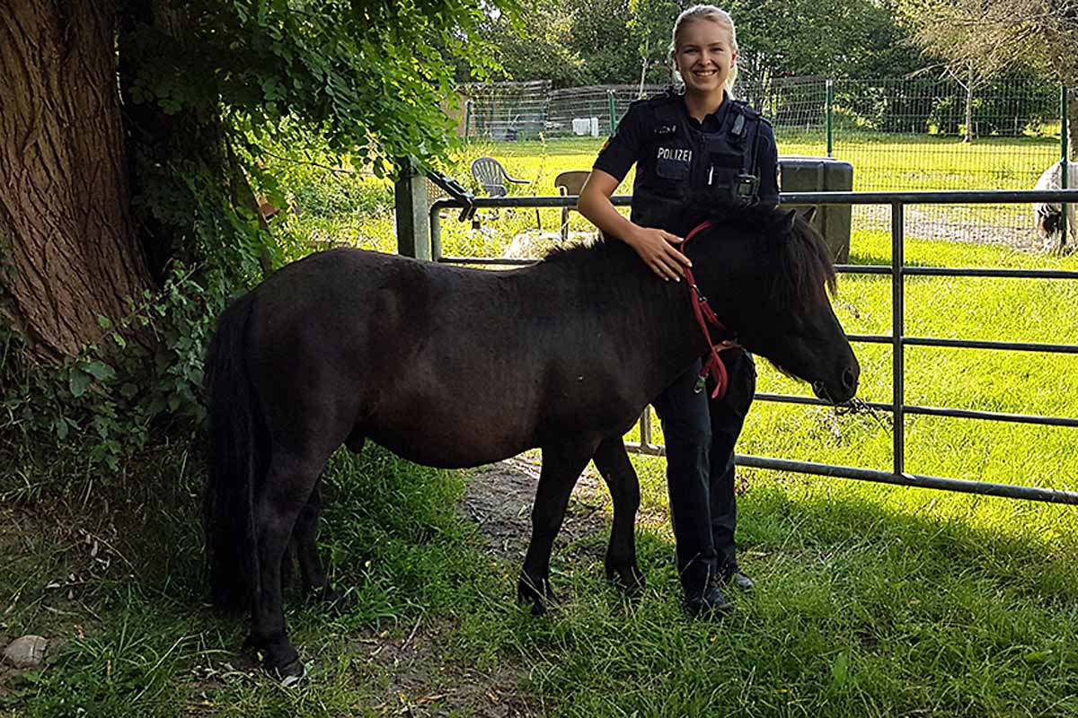 Bremerhaven - Tierischer Einsatz - Pony ausgebüxt