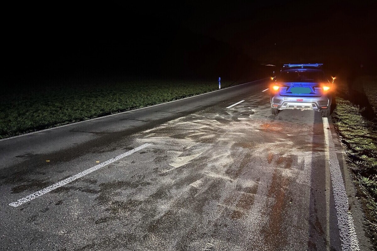 Neunkirch SH - Mit einem Reh kollidiert 