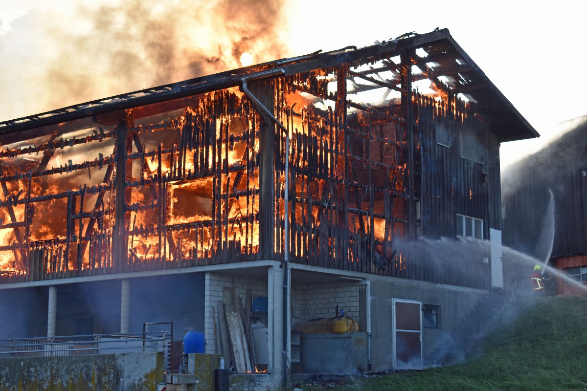 Grossbrand in Menznau LU - Wagenschopf niedergebrannt – rund 200 Schweine konnten gerettet werden!