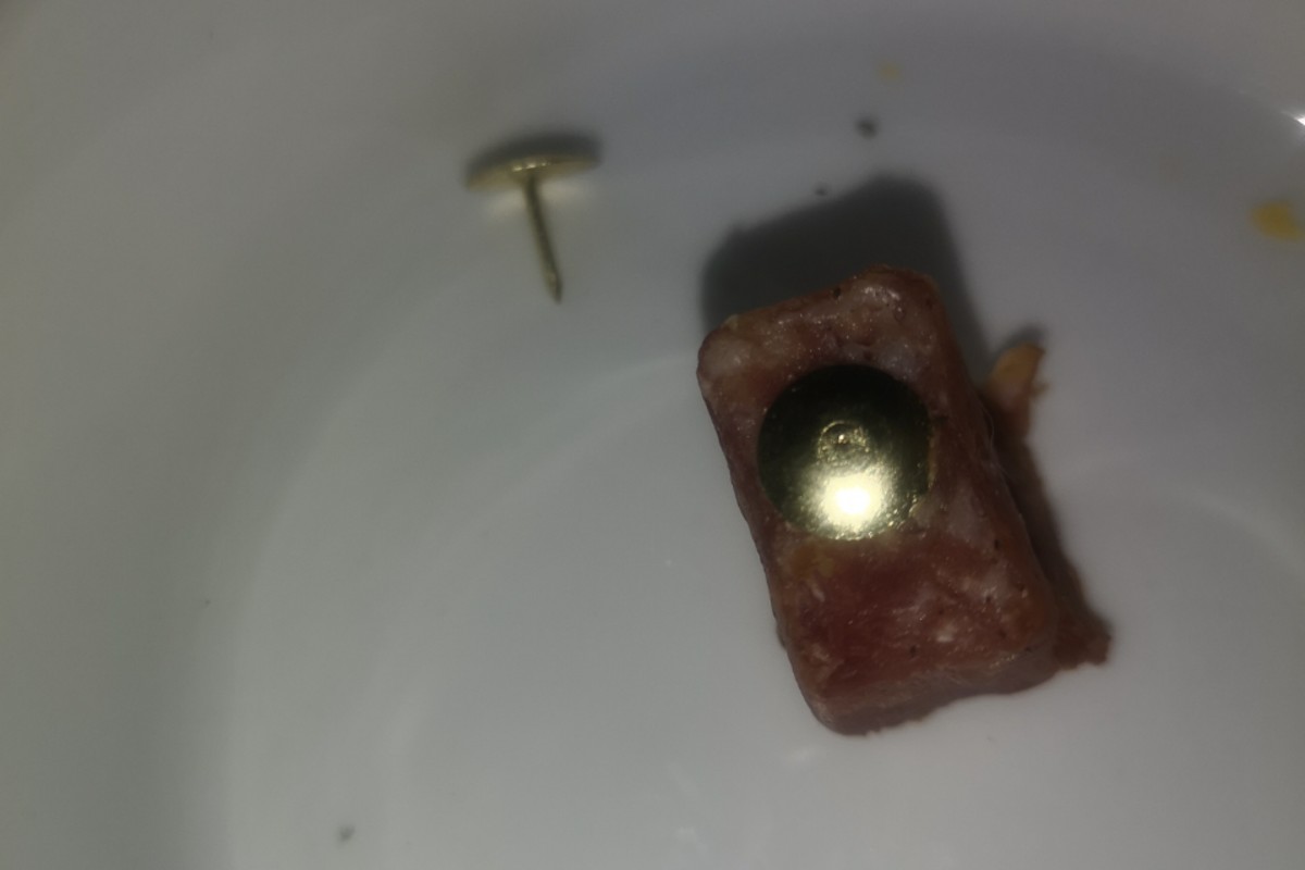 Goslar - Warnung für Hundehalter in Clausthal-Zellerfeld - Hundeköder gefunden!