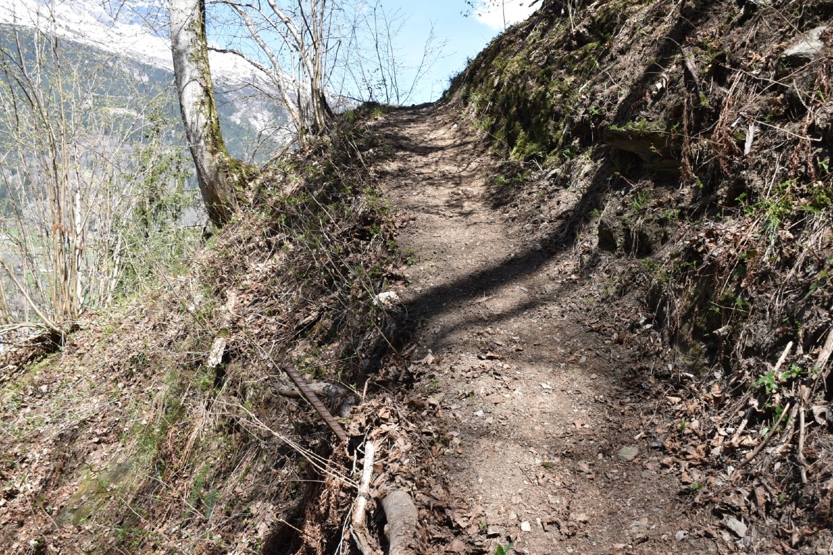 Drama in Trun GR - 120 Meter im steilen Abhang abgestürzt - Mann tot!