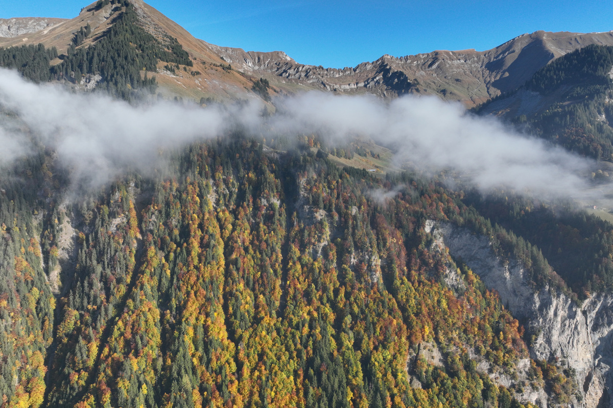 Brienz BE – Vermisste Wanderin tot aufgefunden