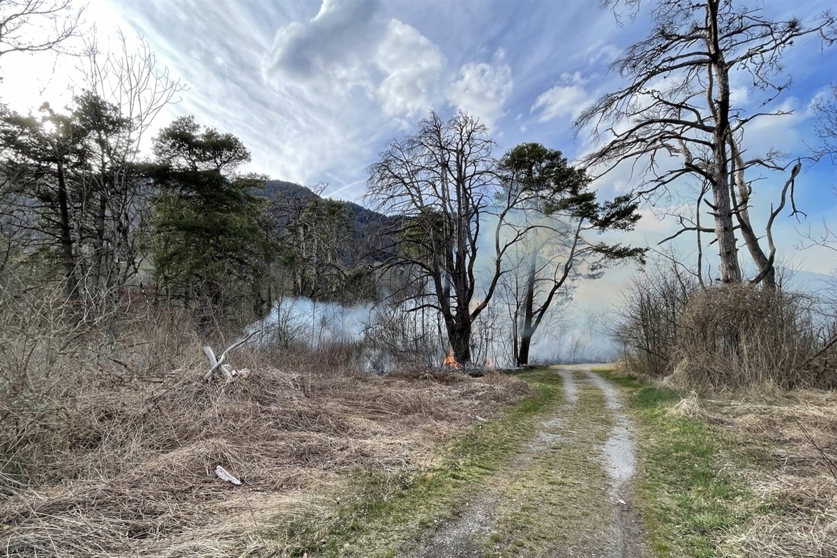 Zizers GR – Grösserer Feuerwehreinsatz wegen Waldbrand 