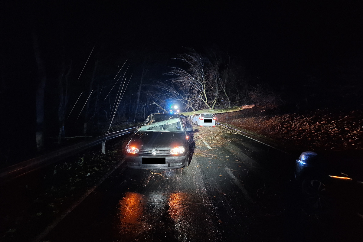 Holzminden – Zwei Autos durch umstürzenden Baum zerstört