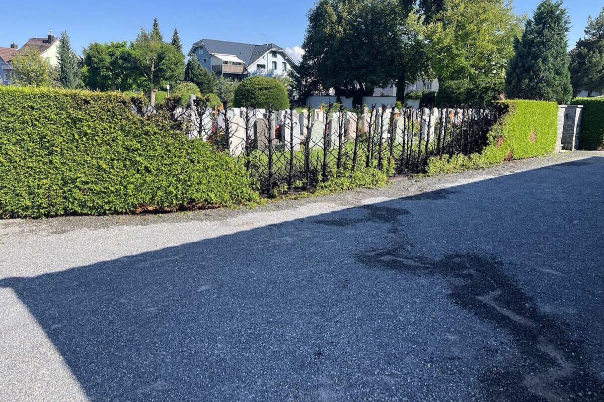 Widnau/Flawil SG - Hecken beim Abbrennen von Unkraut Feuer gefangen