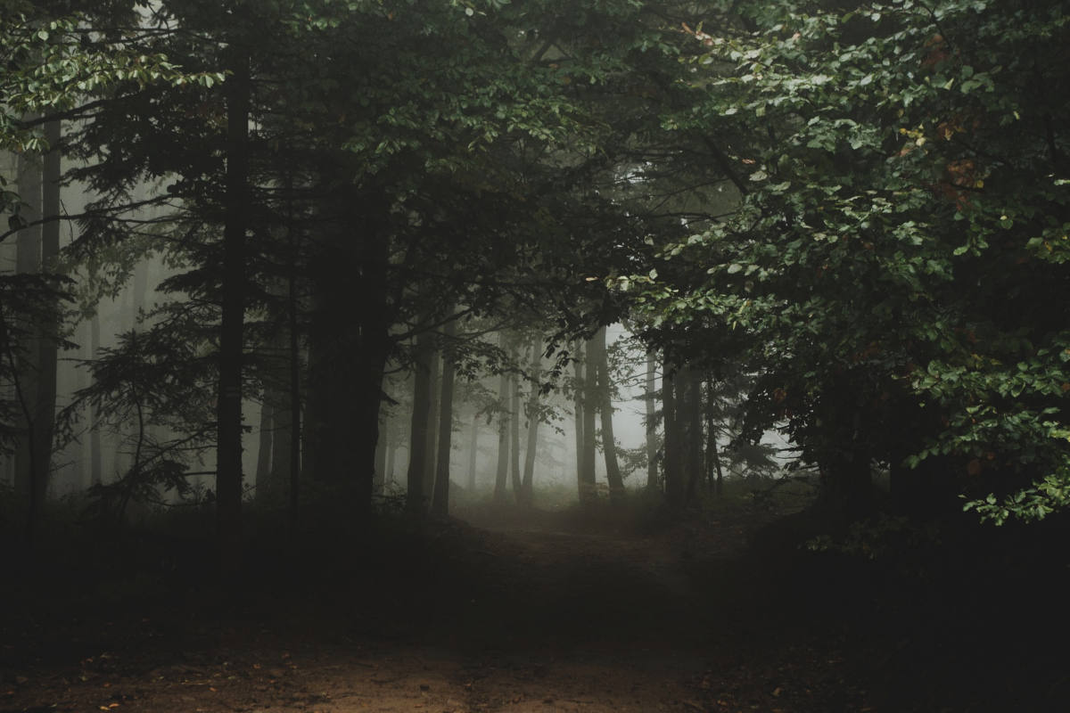 Massenpanik bei Nachtwanderung einer 7. Klasse