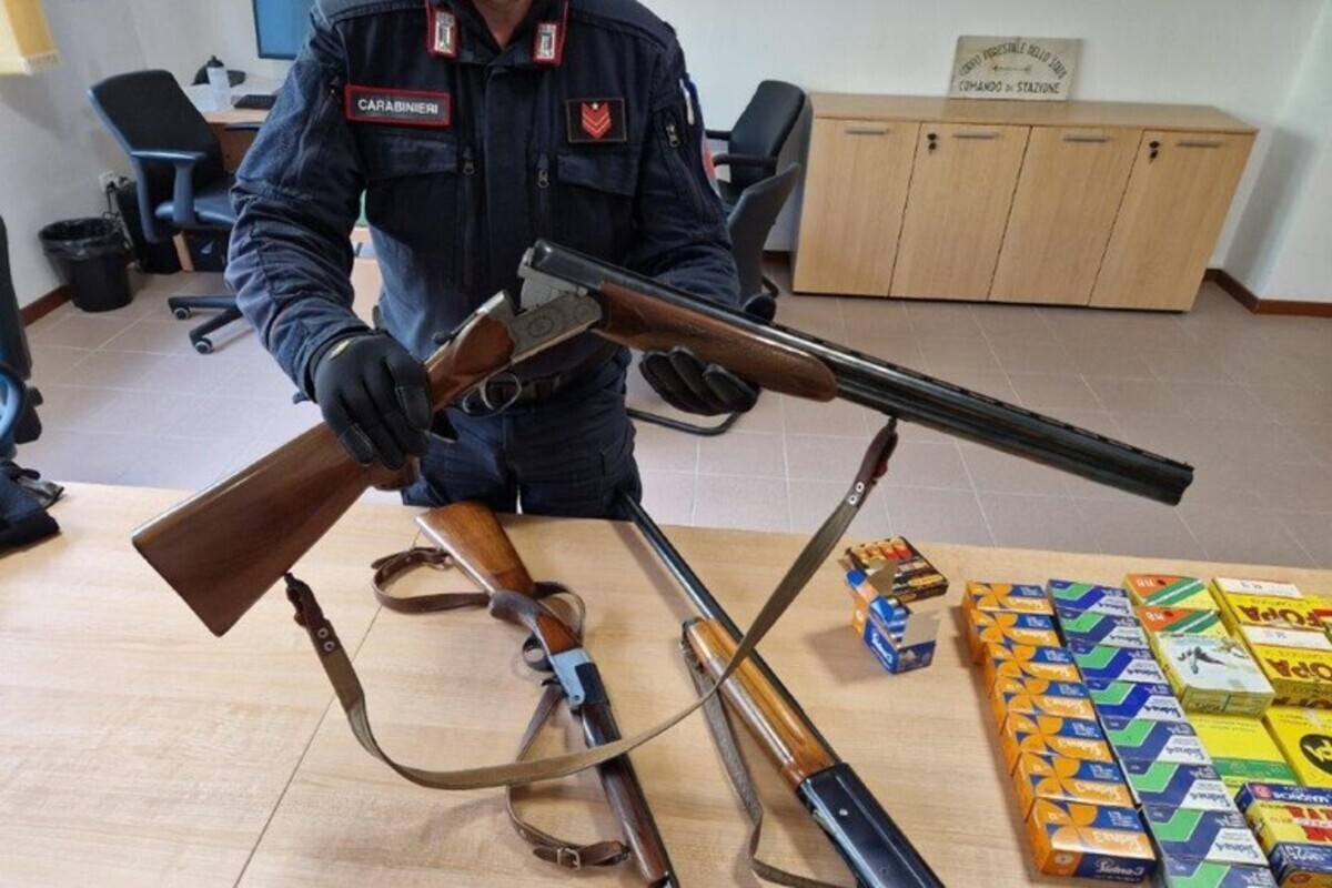 Gualdo Tadino IT - Katze erschossen, weil sie auf frischem Beton lief