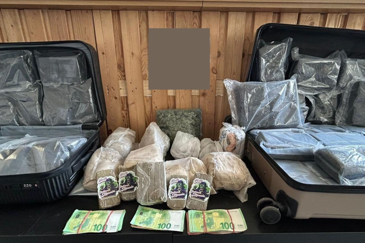 Wien und Wiener Neustadt – Zwei Drogendealer festgenommen