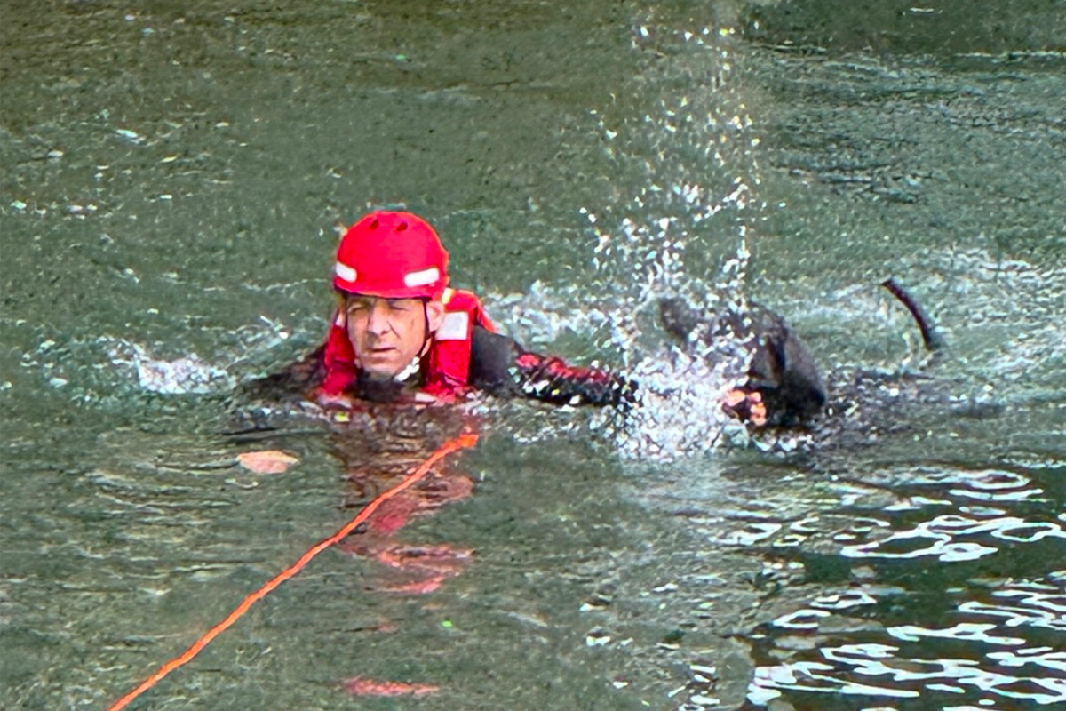 München – Feuerwehr rettet Hund aus der Isar