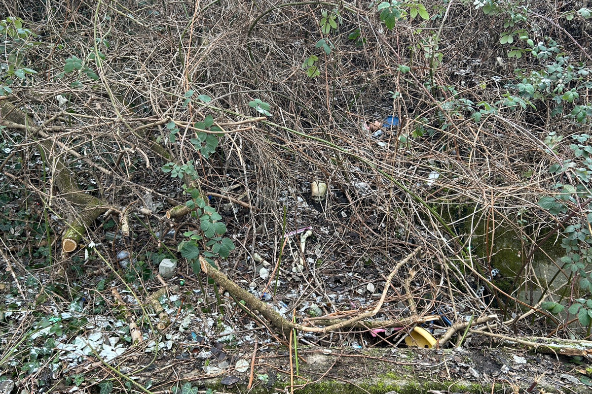 Worms – Ermittlungen nach Knochenfund nahe Bahndamm