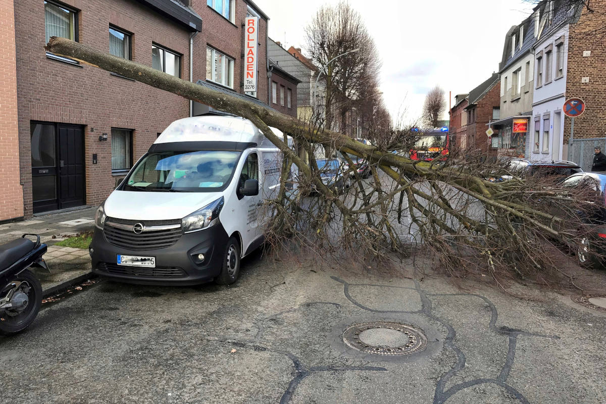Grevenbroich – Baum stürzt auf Transporter Sturmtief Luis hält Feuerwehr im Dauereinsatz