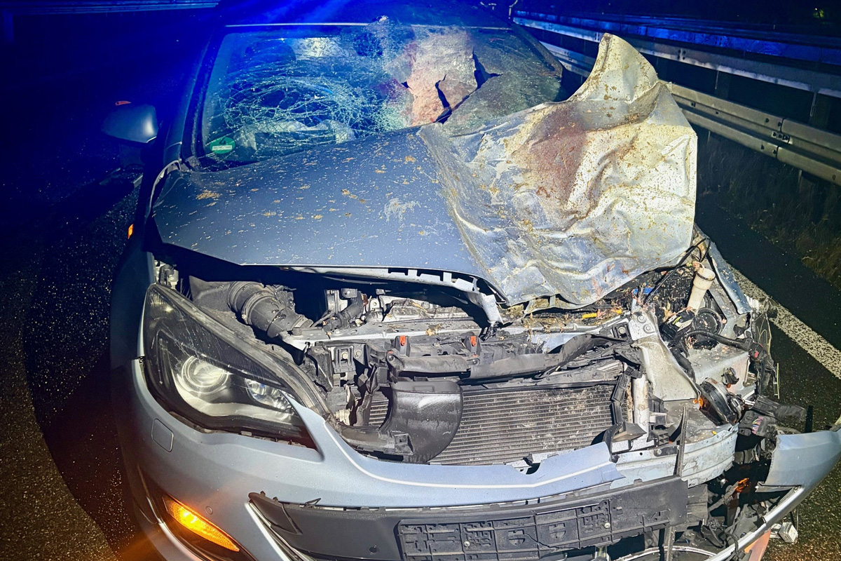 Ratingen – Unfall mit Eseln und Einsätze wegen Feuerwerk