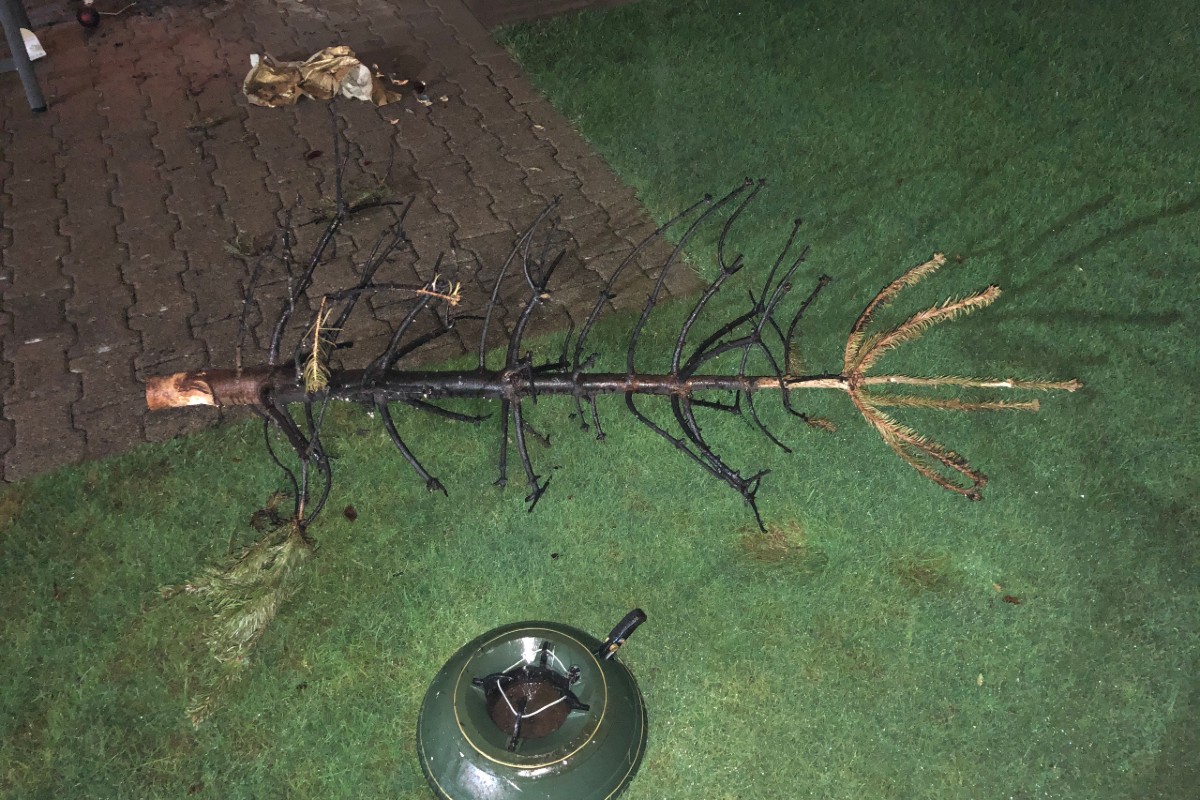 Heiligabend im Kanton St.Gallen - Eher ruhiger Abend für die Polizei